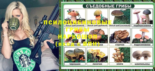 PSILOCYBIN Вяземский