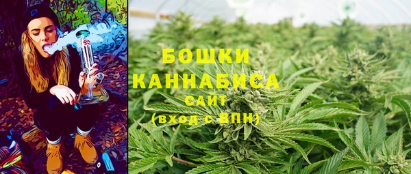 прущая мука Вязьма
