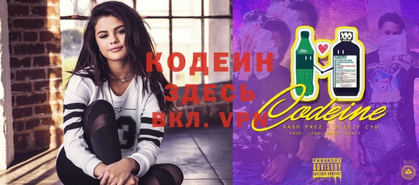 PSILOCYBIN Вяземский