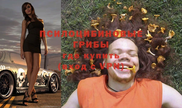 прущий лед Вязники