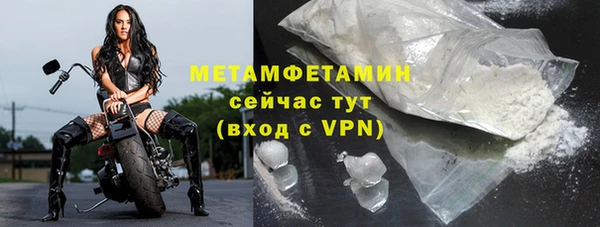 PSILOCYBIN Вяземский